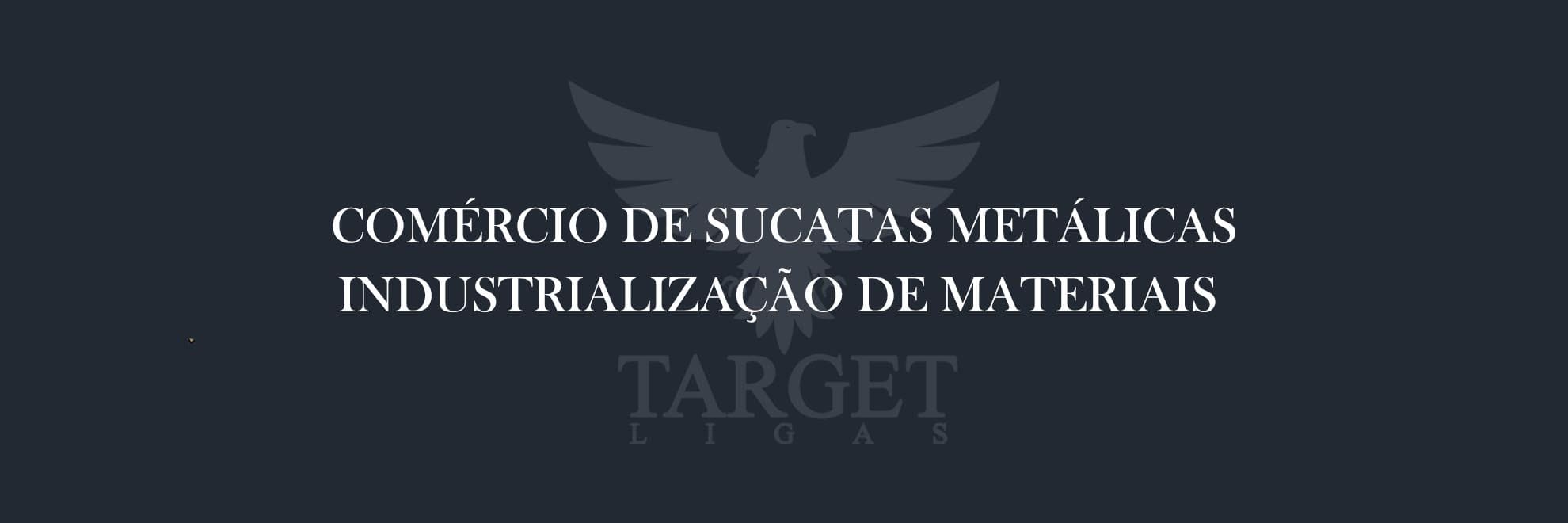 target-ligas-banner-rotativo -