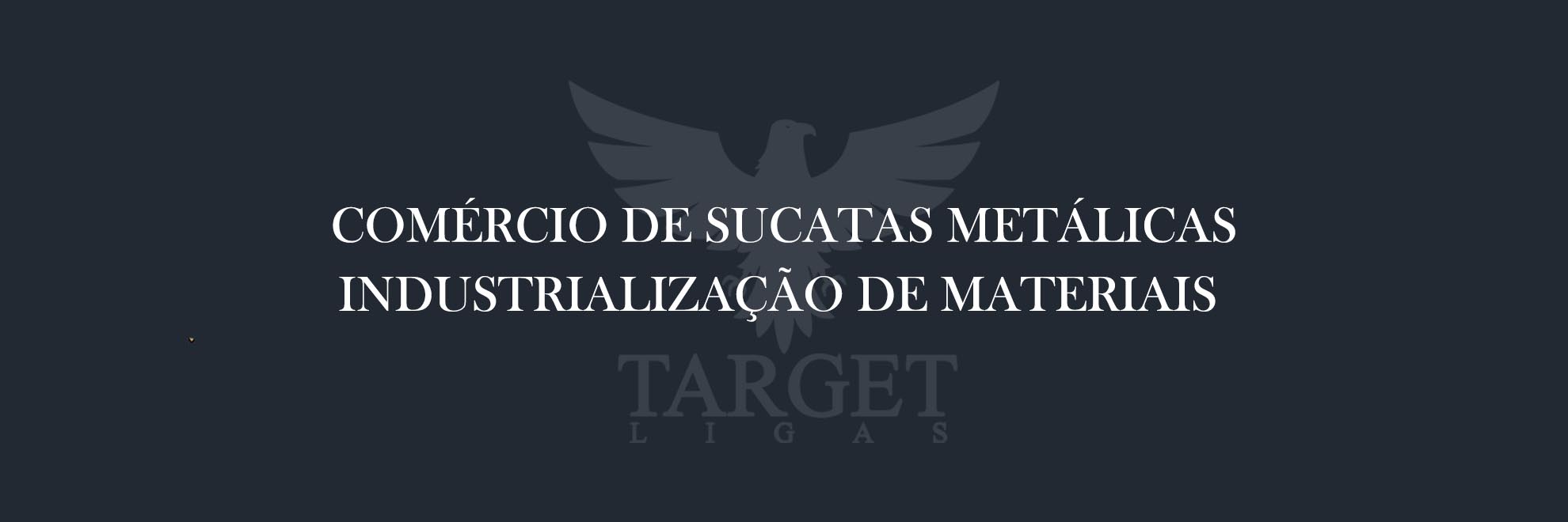target-ligas-banner-rotativo--